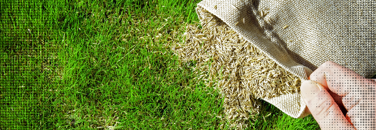 What To Do To Your Home In May - Brickman's Ace Header