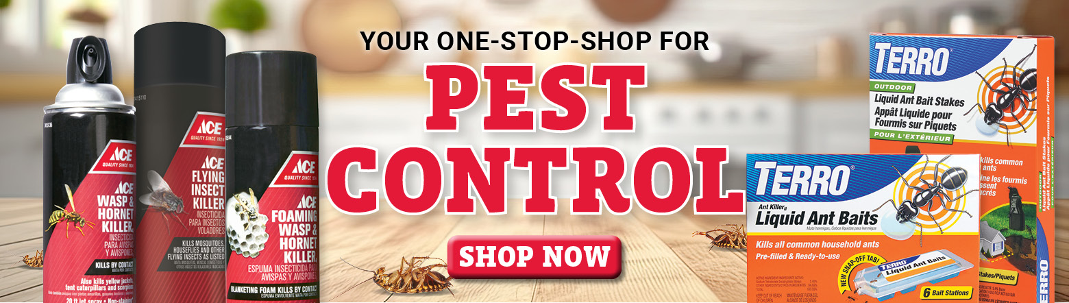 Pest Control Header