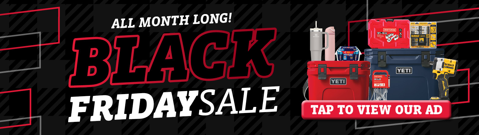 BRIC-Black Friday Header