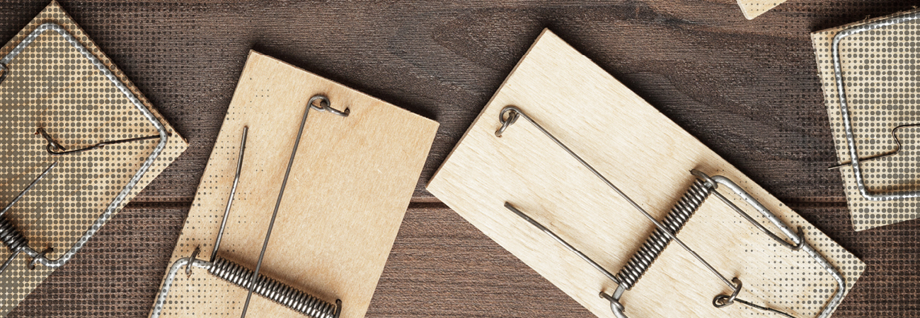 How To Prevent Mice From Getting In Your Home - Brickman's Ace Header