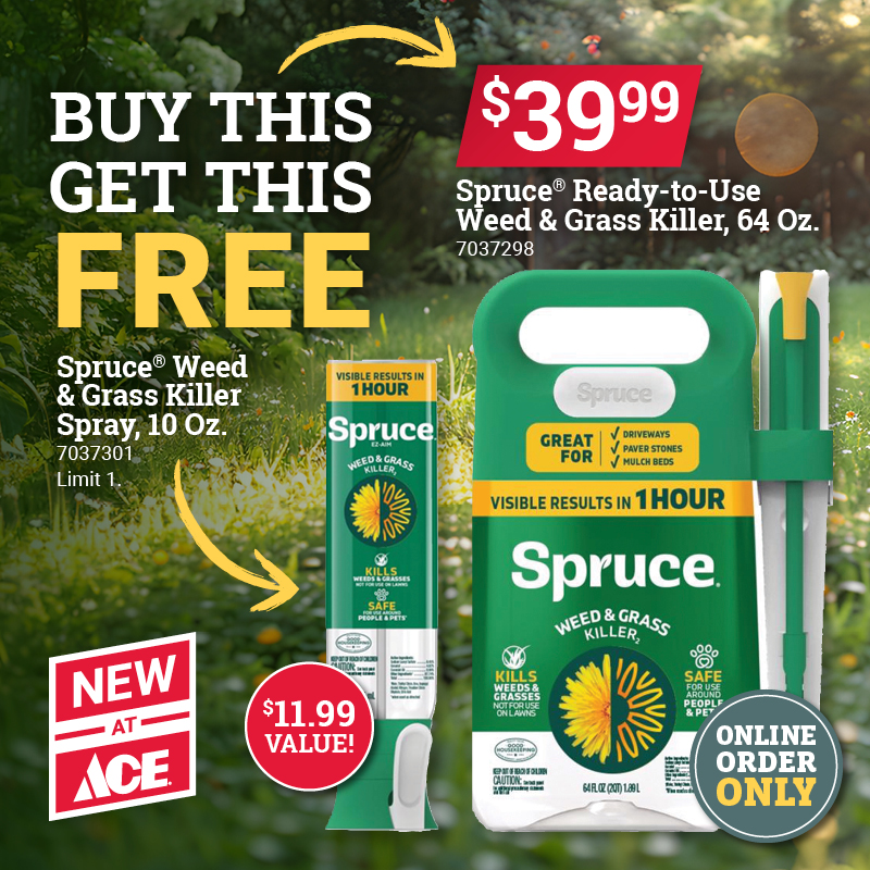 Spruce Free Offer