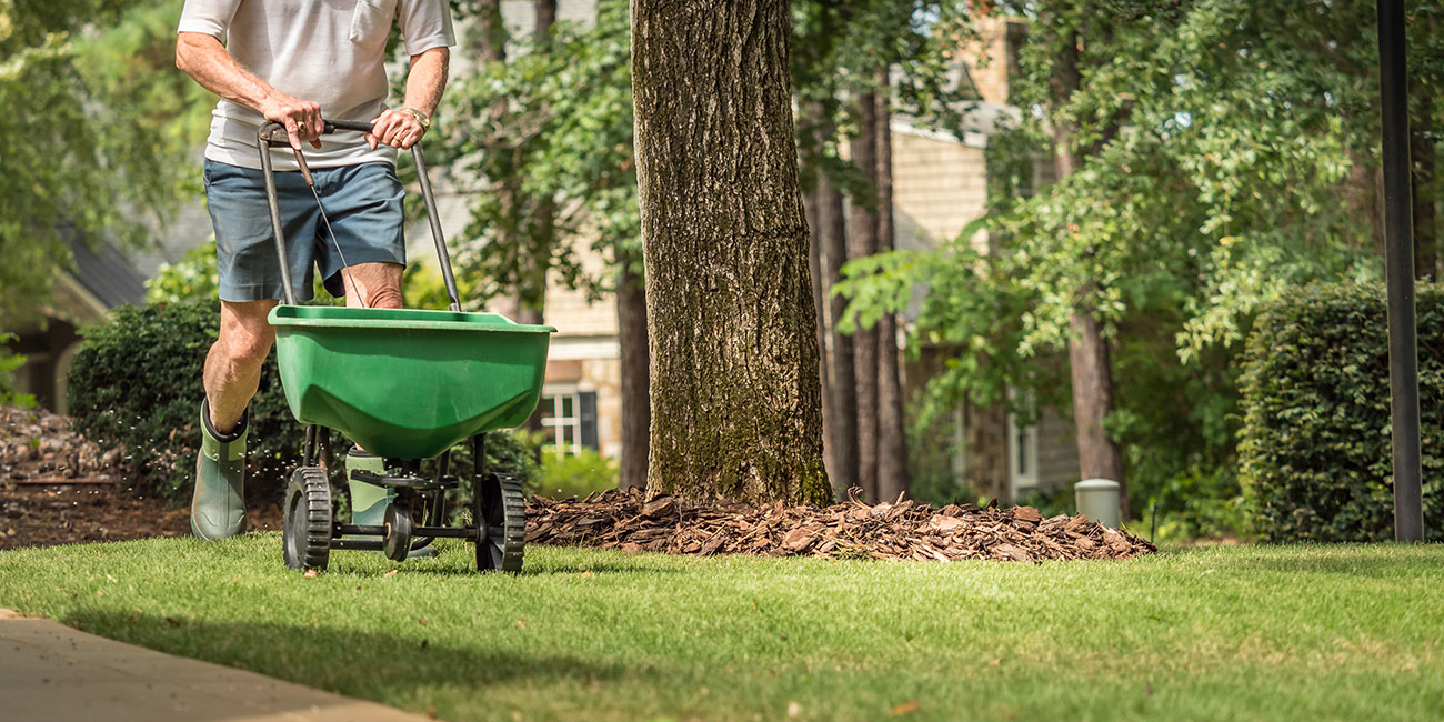 Prepare Your Lawn For Spring - Brickman's Ace